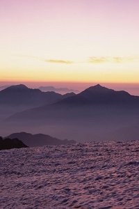 利勒斯特主场失利，欧冠希望渺茫：冰冷现实下的绝境求生