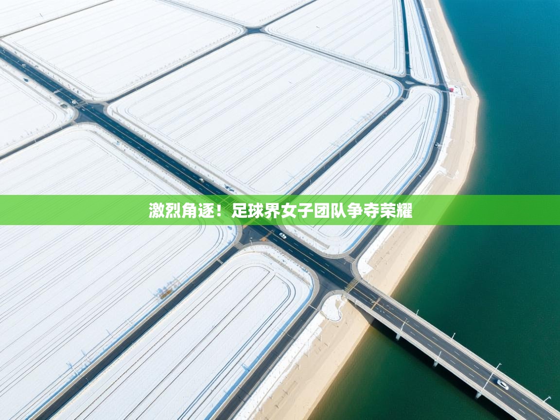 激烈角逐！足球界女子团队争夺荣耀  第2张