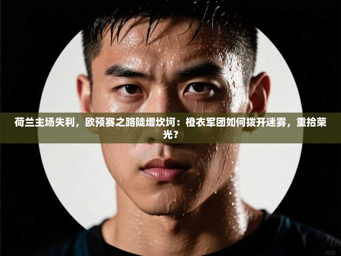 荷兰主场失利，欧预赛之路陡增坎坷：橙衣军团如何拨开迷雾，重拾荣光？  第2张