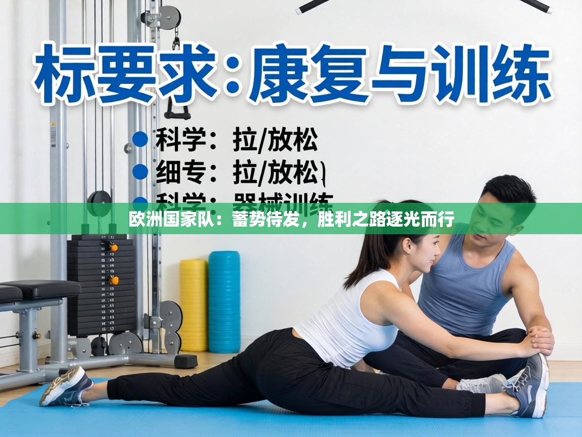 欧洲国家队：蓄势待发，胜利之路逐光而行  第2张